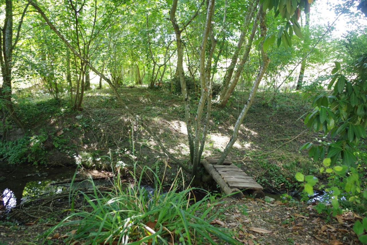 Gite Du Moulin De Vandon Souvigny-de-Touraine Dış mekan fotoğraf